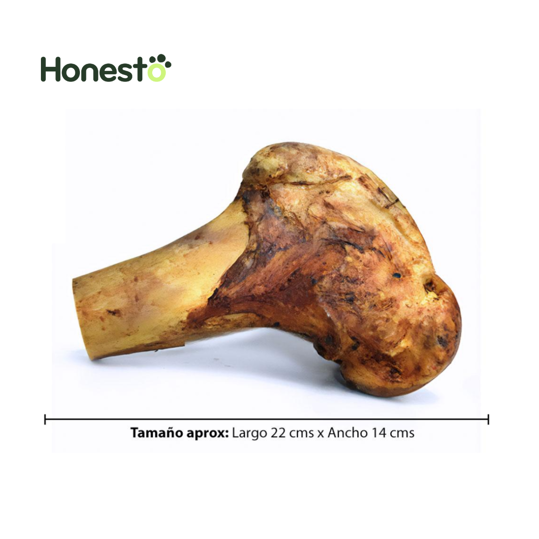 Hueso de Calambombo - perros