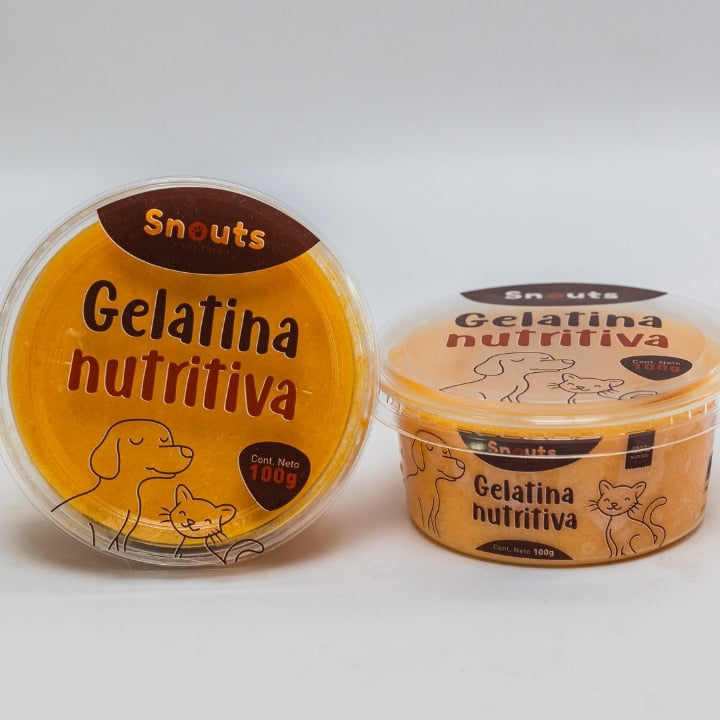 gelatina nutritiva snack saludable para perros y gatos